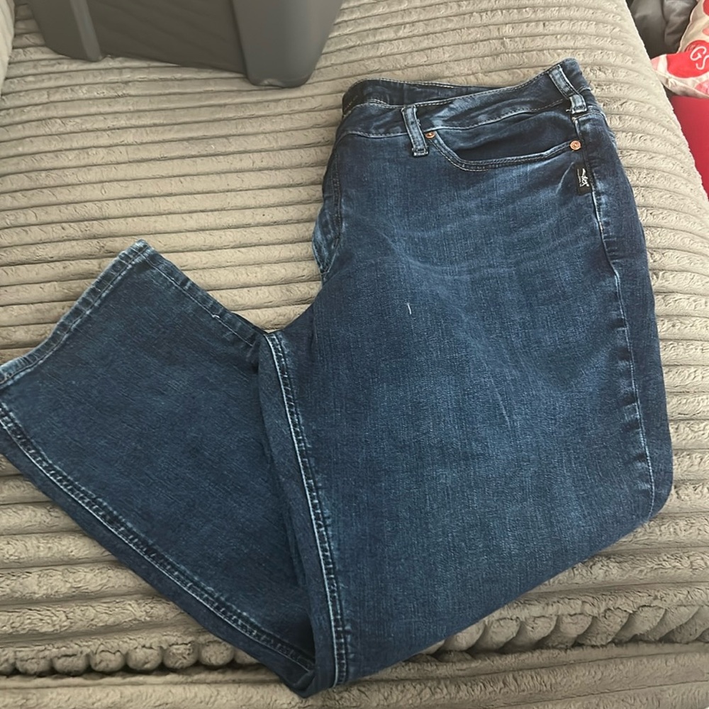 Silver Suki capri in size 20 worn once or twice.